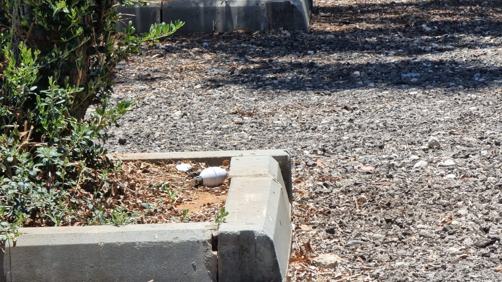 WhatsApp Image 2021-07-08 at 12.45.09 PM.jpeg